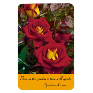 Íman Jardim de Rosa do Magnet