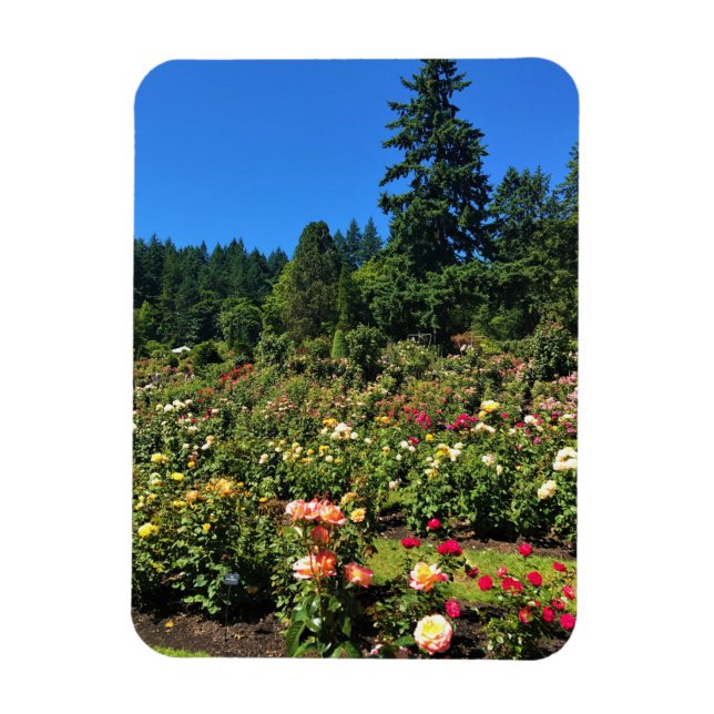 Íman Jardim de Rosas de Portland, OR (Vertical)