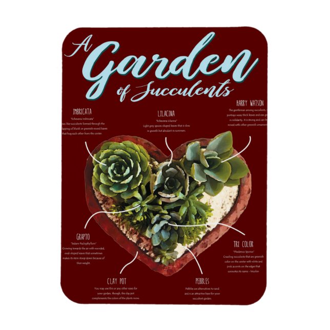 Íman Jardim De Sucultivos (Vertical)