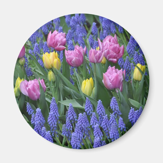 Íman Jardim de Tulipas e bluebells (Frente)