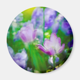 Íman Jardim de tulipas, Giverny, França