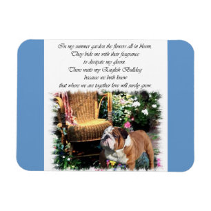 Íman Jardim de Verão de Buldogue Inglês