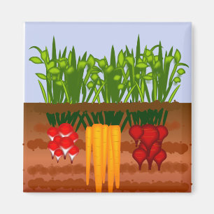 Íman Jardim do vegetariano