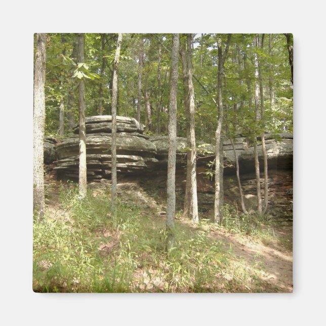 Íman Jardim dos Deuses - Illinois (Frente)