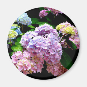 Íman Jardim Hydrangea, rosa, azul, floral roxo
