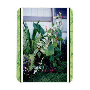 Íman Jardim Ímã-Tropical