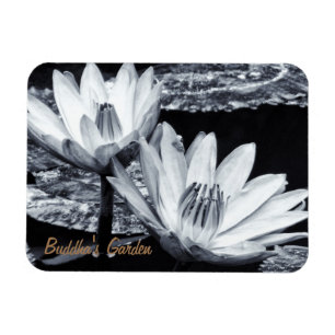 Íman Jardim Secreto/Meditação de Lotus Flowers & Budd