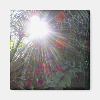 Íman Jardim Sunlight