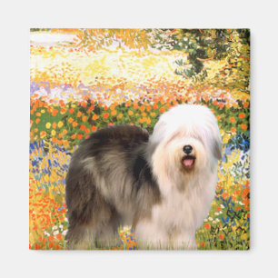 Íman Jardim (VGogh) - Old English 12