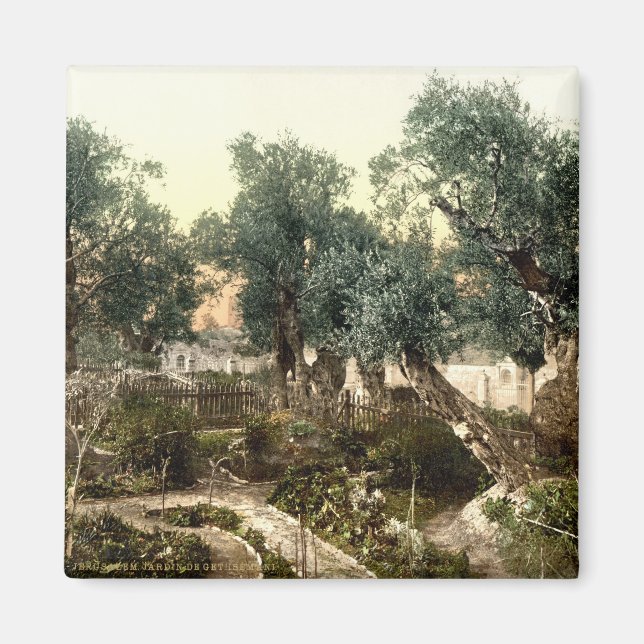 Íman Jardim Vintage de Gethsemane Jerusalém Israel 1890 (Frente)