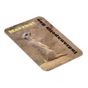 Íman Jardim zoológico de Meerkat Indianapolis