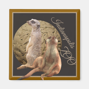 Íman Jardim zoológico de Meerkats Indianapolis