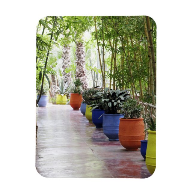 Íman Jardin Majorelle, Majorelle Garden, agora um públi (Vertical)