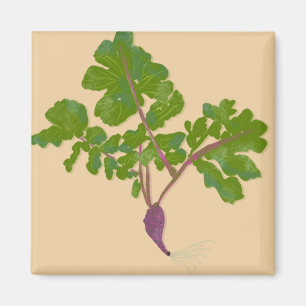 Íman Jardineiras de Nabos Agrícolas