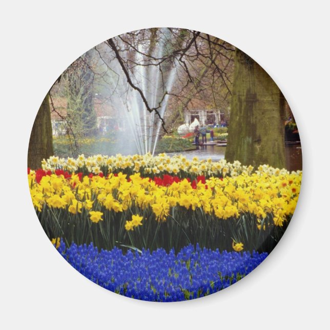 Íman jardins amarelos de Keukenhof, Amesterdã, Países B (Frente)