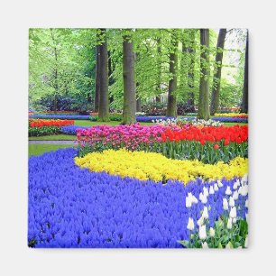 ÍMAN JARDINS DE KEUKENHOF, LISSE HOLLAND