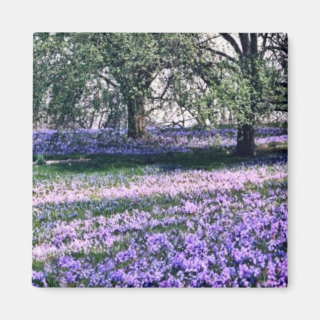 Íman Jardins Longwood em Primavera (Frente)