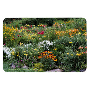 Íman Jardins meados de coloridos do verão!