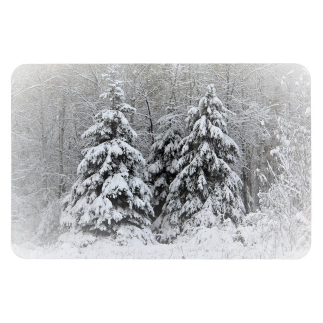 Íman Jardins Perenes do Rio Urso. Northen Minnesota (Horizontal)