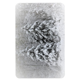 Íman Jardins Perenes do Rio Urso. Northen Minnesota