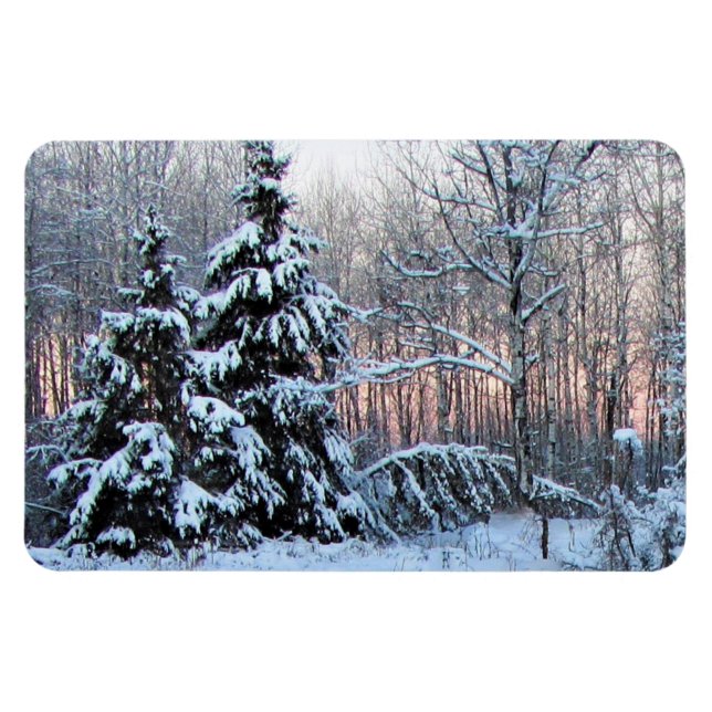 Íman Jardins Perenes do Rio Urso. Northen Minnesota (Horizontal)