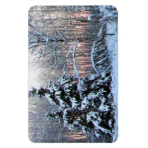 Jardins Perenes do Rio Urso. Northen Minnesota