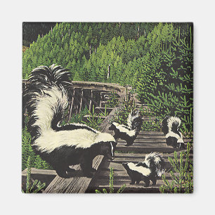 Íman Jaritataca do vintage, animais selvagens e