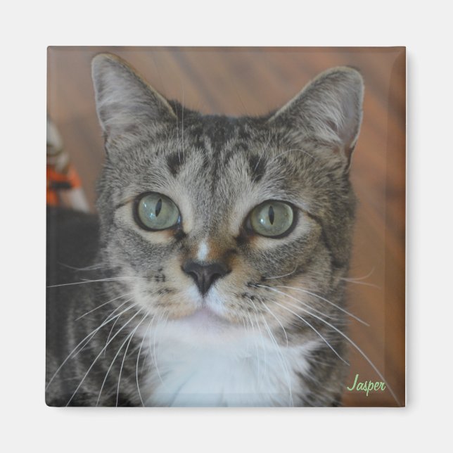 Íman Jasper (Frente)