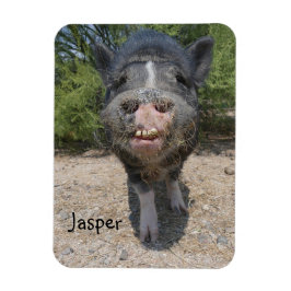 Íman Jasper Magnet