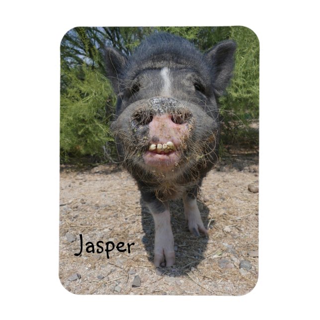 Íman Jasper Magnet (Vertical)