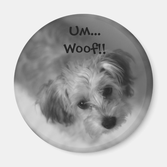 Íman Jazzie Magnet (Frente)