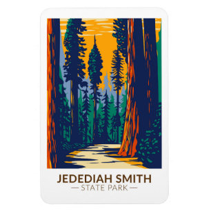 Íman Jedediah Smith Redwoods State Park Califórnia