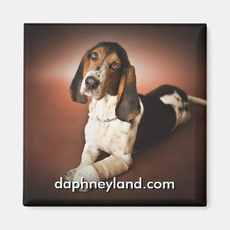 Íman Jefferson com o Magnet