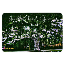 Íman Jekyll Island GA Holiday Lights on Live Oak Tree