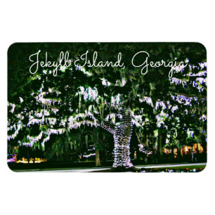 Íman Jekyll Island GA Holiday Lights on Live Oak Tree