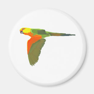 Íman Jenday Conure
