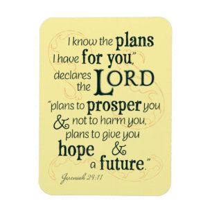 Íman Jeremiah 29:11 Eu sei os planos que tenho para voc