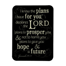 Íman Jeremiah 29:11 Eu sei os planos que tenho para voc