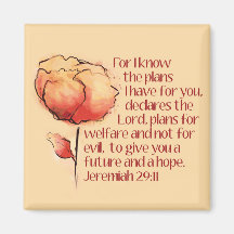 Jeremiah 29:11 Magnet — Porque eu sei os planos...