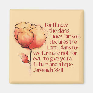 Íman Jeremiah 29:11 Magnet, porque eu sei os planos...