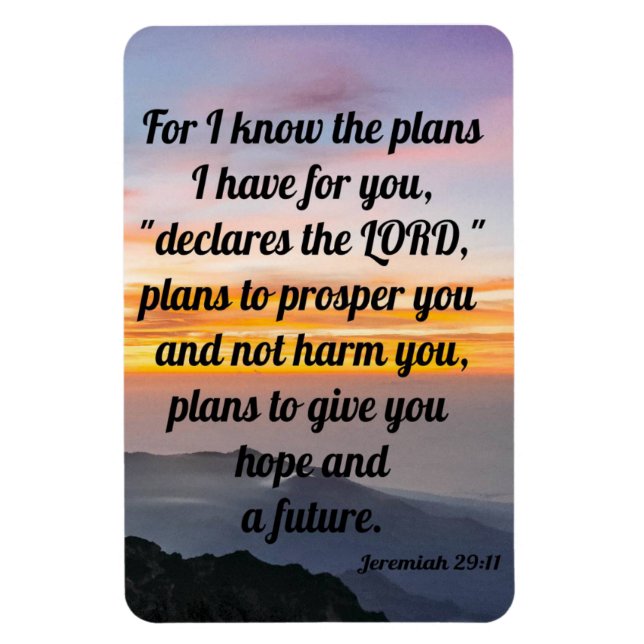 Íman Jeremiah 29:11, Magneta do Refrigerador (Vertical)