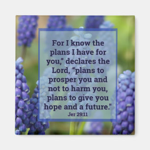 Íman Jeremiah 29:11 Magneta Floral