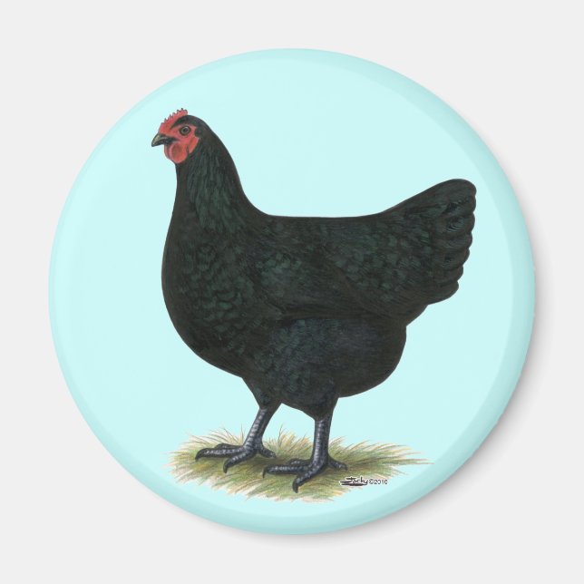 Íman Jersey Giant: Black Hen (Frente)