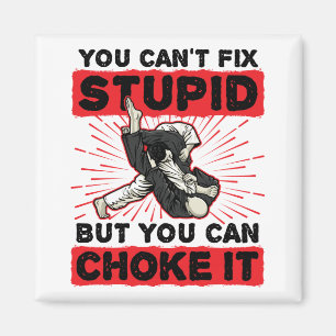 Íman Jiu Jitsu, você não pode consertar o estúpido, 