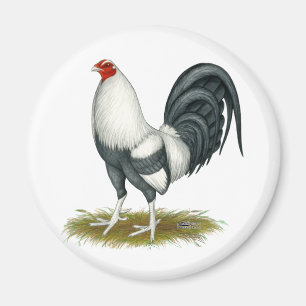 Íman Jogo Americano Silver Blue Gamecock