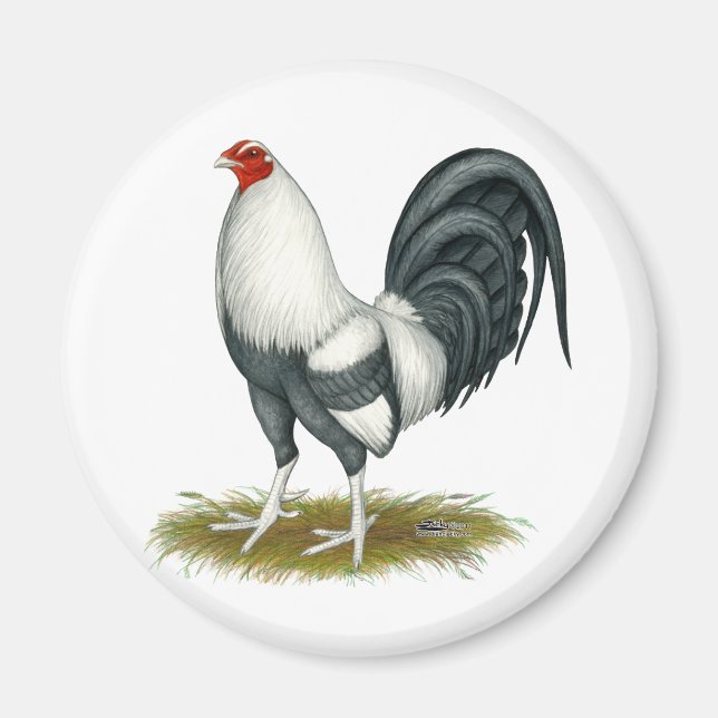 Íman Jogo Americano Silver Blue Gamecock (Frente)