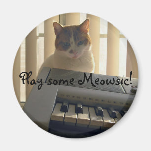 Íman Jogue algum Meowsic!
