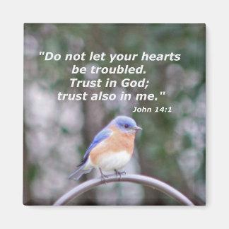 Íman John 14:1