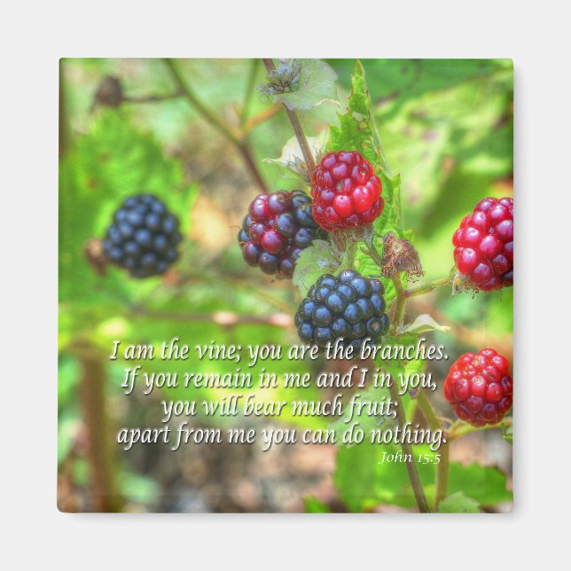 Íman John 15:5 (Frente)