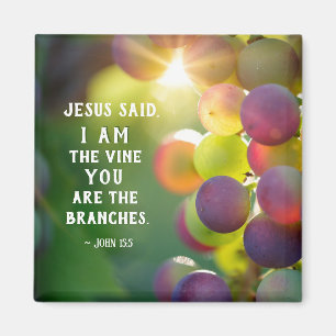 Íman John 15:5 Eu sou a Vinha Você são os Ramais Jesus